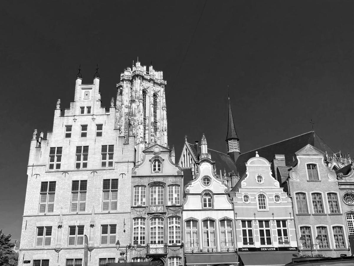 Nova Zembla Bed & Breakfast Mechelen Exterior foto